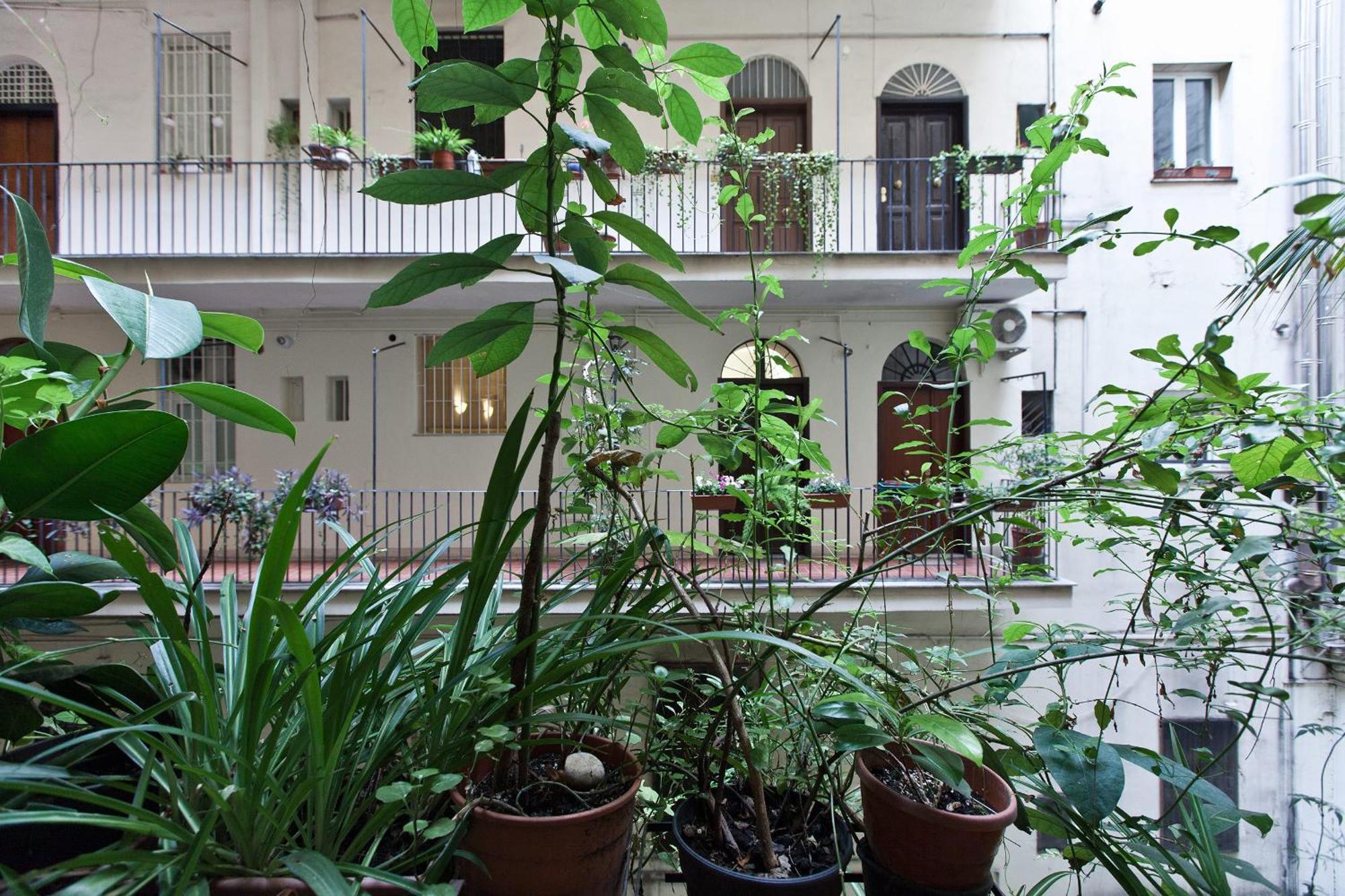 Gianicolo Holiday House Rome Extérieur photo